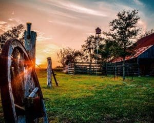 Texas barn at sunset